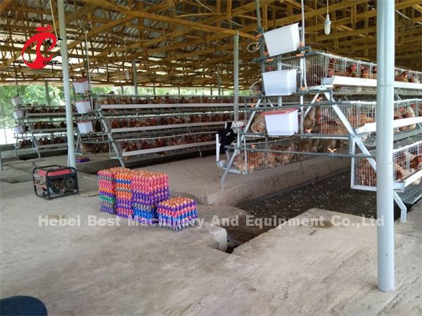 Цена клетки батареи слоя эффективности в Нигерии Эмили