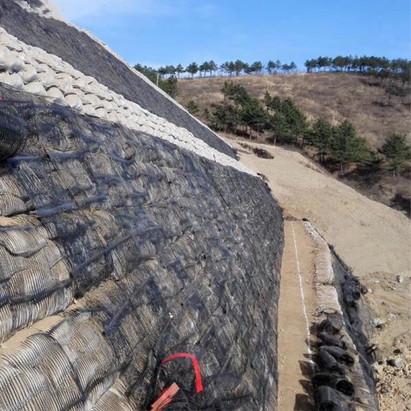 Grelha geográfica uniaxial de polipropileno PP de alta resistência para paredes de suporte