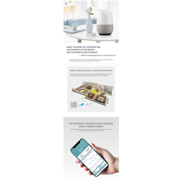 Smart Brightness Thermometer BLE(XZ-WSD02)