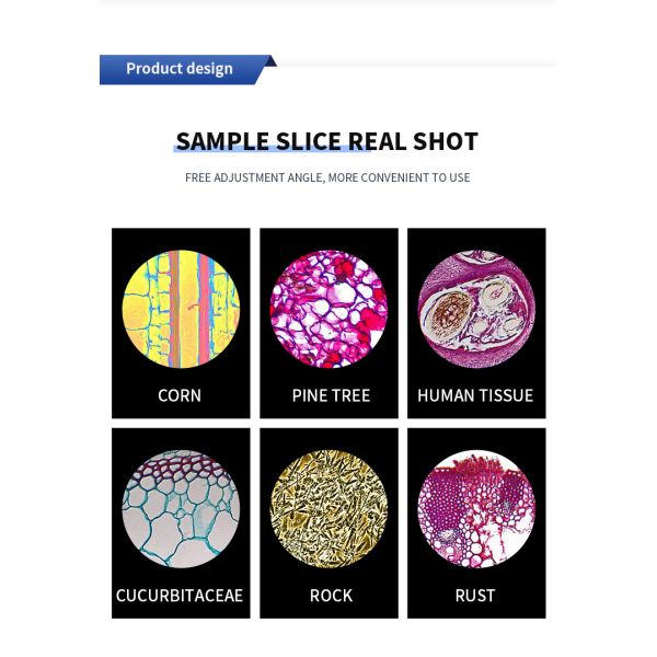 Portable Optical Microscope for Laboratory Teaching and Testing 1600x Magnification