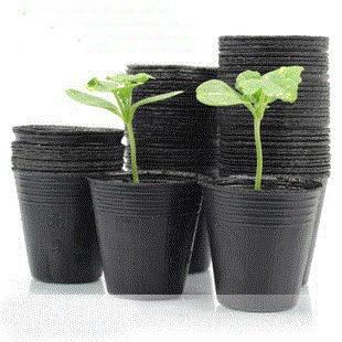 Potenciômetro de pouco peso plástico hidropônico da planta de batata doce do potenciômetro 4L do berçário de 12cm picosegundo