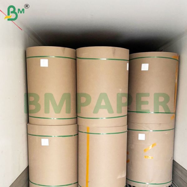 Smooth and Recyclable Bleached White Cup Base Paper Rolls 230gsm