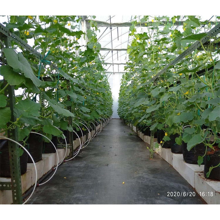 Горяче погруженные оцинкованные стальные трубы для открытой вентиляции и крыши