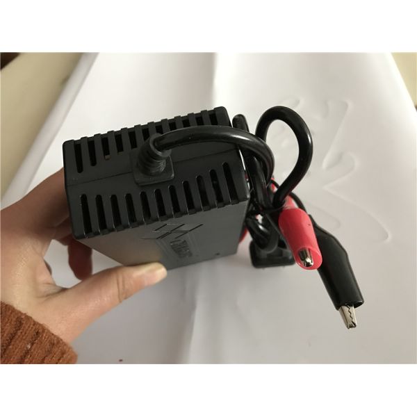 10A 6v 12v Lead Acid Battery Chargers Electric Scooter 48v Forklift Battery Charger