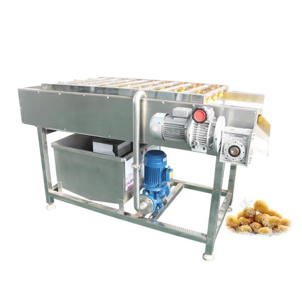 Wholesale 2800W Heating Adjustable Speed Nozzles Pet Dog Hair Dryer Machine Pet Grooming Professional Dryer