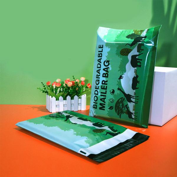 Custom Polymailer Courier Bag Clothing Packaging Shipping Mailing Bags Compostable Envelopes 100% Biodegradable D2W