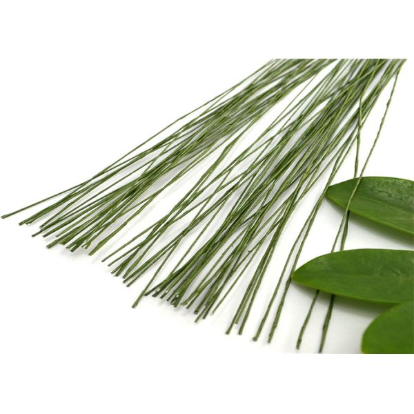 Wrapped 20gauge 1.25mm Paper Covered Floral Wire