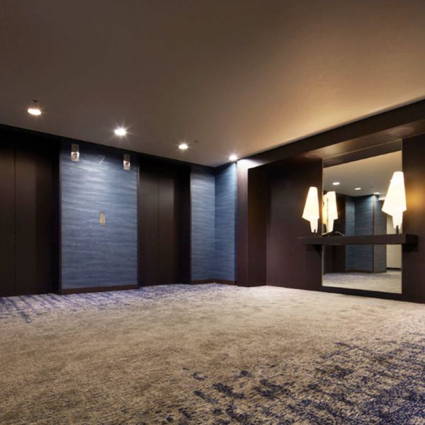 Modern Silverstone Luxurious Hotel Carpeting Tapis De Saloon Movie Theater Axminster Carpet for Casino