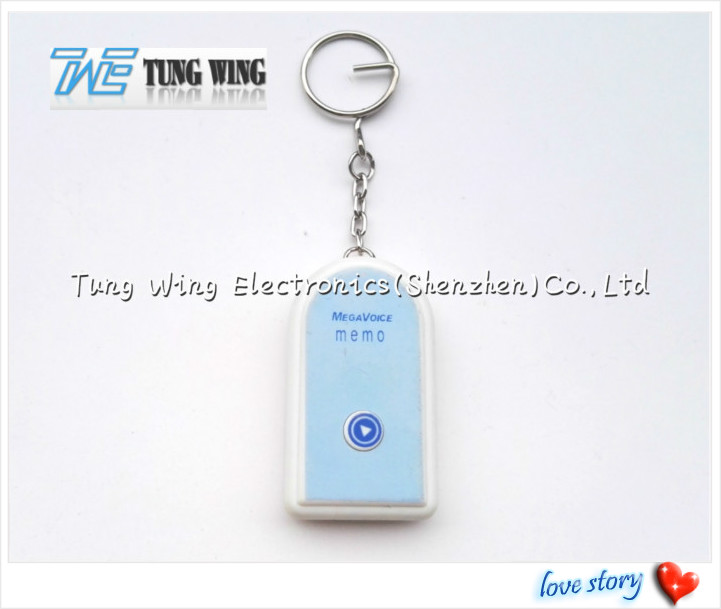 Нот Keychain/кольцо для ключей OEM с звуком клиента, логосом для выдвиженческих подарков
