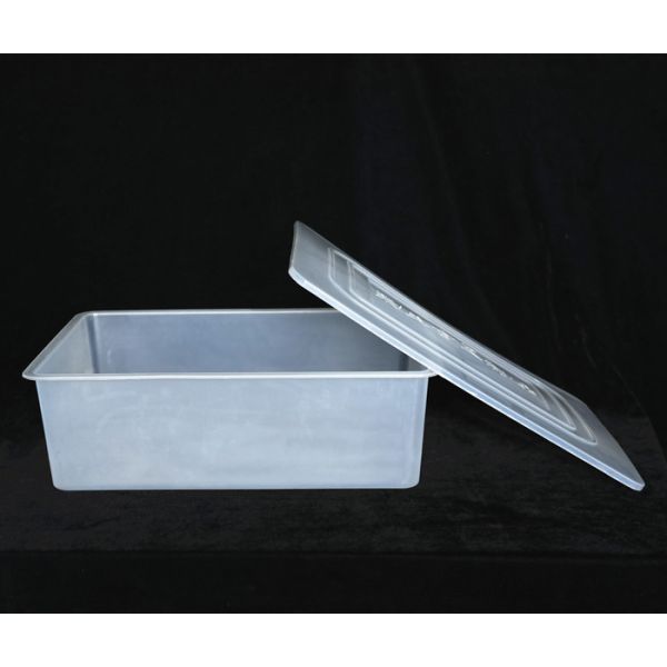 390mm Disposable Plastic Box Food Package Disposable Food Container Box