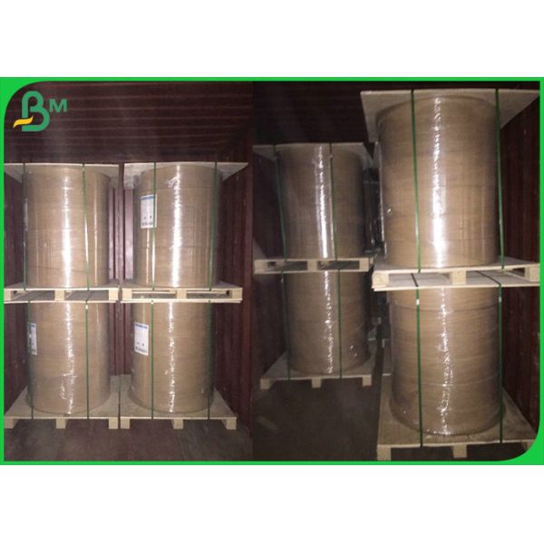 Manufacturer 300gsm Brown Kraft Paper PE Coated For Take Away Lunch Box