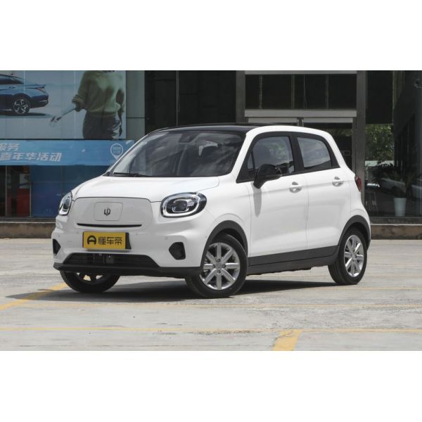 Double Wishbone Independent Suspension Electric Energy Type 2022 Diamond Edition Leapmotor T03