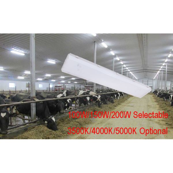 100W 3500K 4FT LED Vapor Tight Light Fixture with Transparent Polycarbonate Diffuser