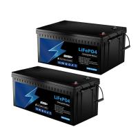 100ah à la batterie de phosphate de fer de lithium de batterie de 200ah 24V LiFePo4 rechargeable