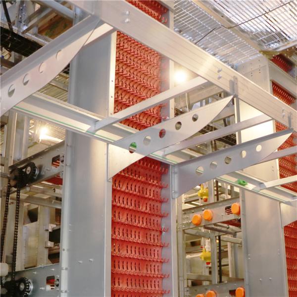 H Type 256 Birds / Set Automated Battery Cage System Poultry Farming
