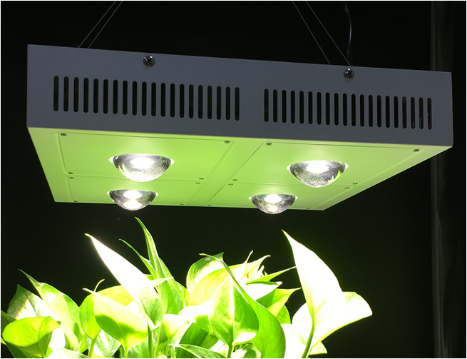 КСА2530 КСБ3590 полное СИД спектра растет приведенные света, растут лампа Солнце - как 3500К