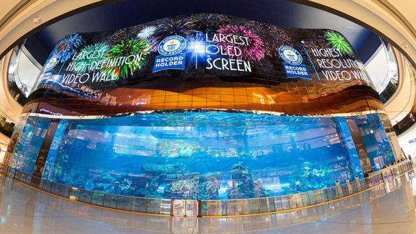 Soft Ribbon Rubber Flexible LED Display For Any Convex, Concave Or Twisted Installations