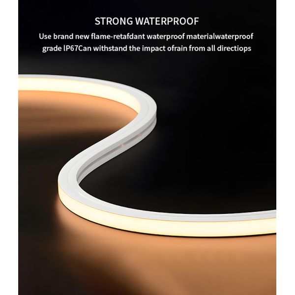 16*16 Waterproof IP65 LED Silicone Neon Strips Overhead 24V 2835 Flexible Outdoor Neon Light Strips