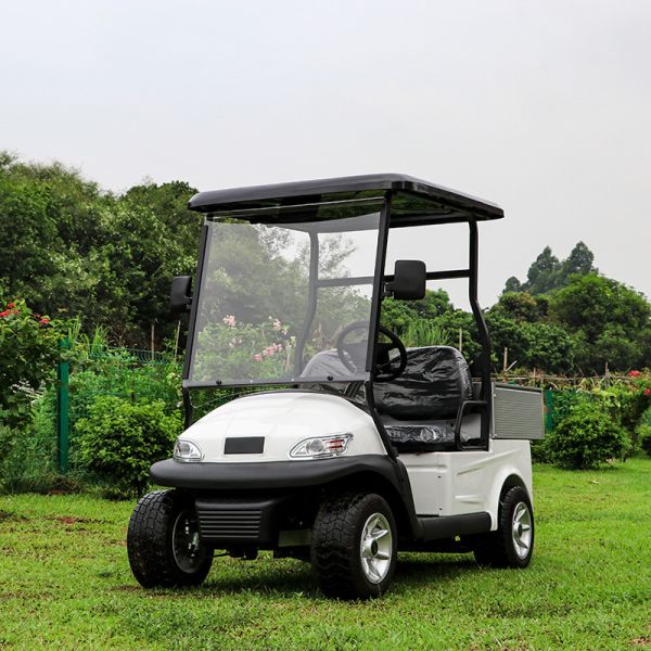 EXCAR 48V Electric Golf Cart Utility Vehicles Italy Graziano Axle