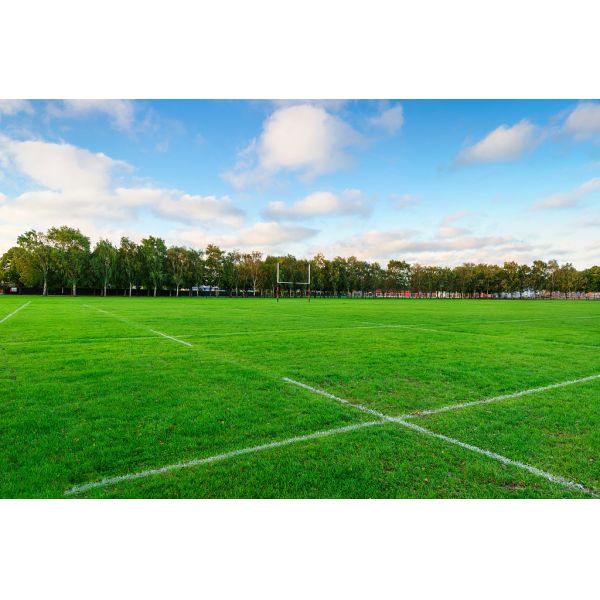 School 40mm Artificial Turf Grass Corrosion Resistant Sport Flooring