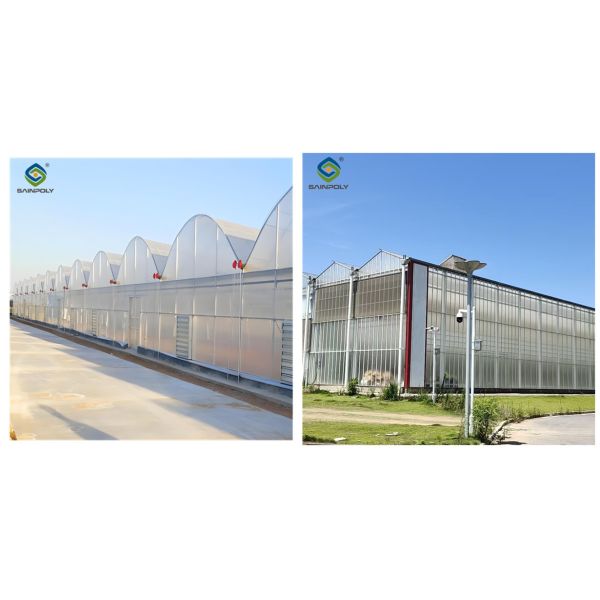Galvanized Steel Hydroponics Strawberry Greenhouse Large Size