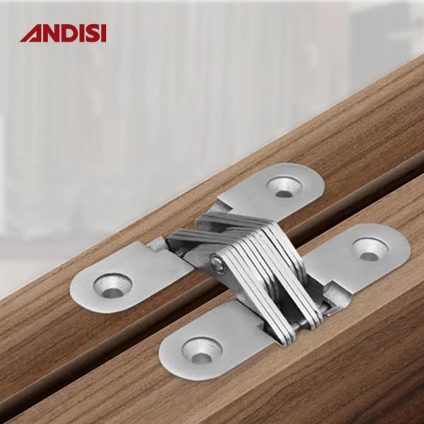 Zinc Alloy Pivot Hidden Butt Cross Special Type Invisible Hinge for Furniture Market