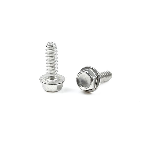 Stainless Steel 304 Screws 14 *3/4