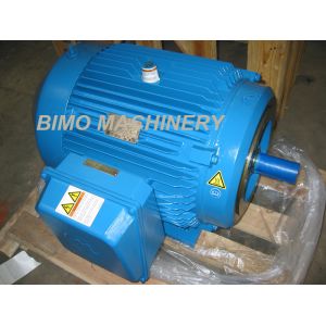 Manufacturer High Quality NEMA D 30kw Three 3 Phase Induction Electric AC Motor for Oil Well Pump