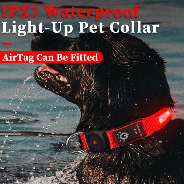 Collar para perros LED Inodoro Perros medianos y grandes Portador de AirTag Flash Light Up Diseño de logotipo personalizado