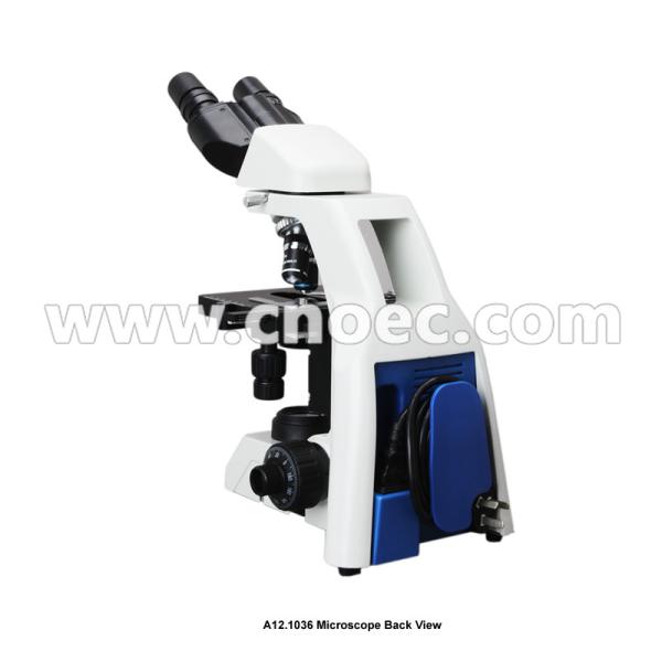 A12.1036 Double Layers Mechanical Stage Biological Compound Microscope With Infintiry Optical System