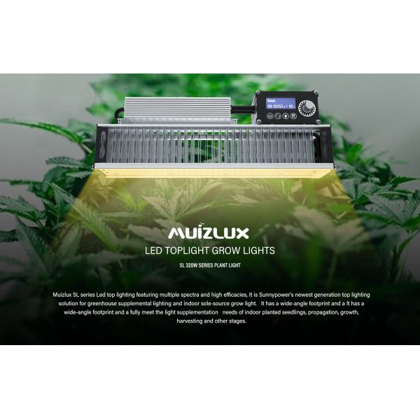 OEM 320w LED Toplighting Lumière de croissance toute l'année plantes médicales lumières de croissance