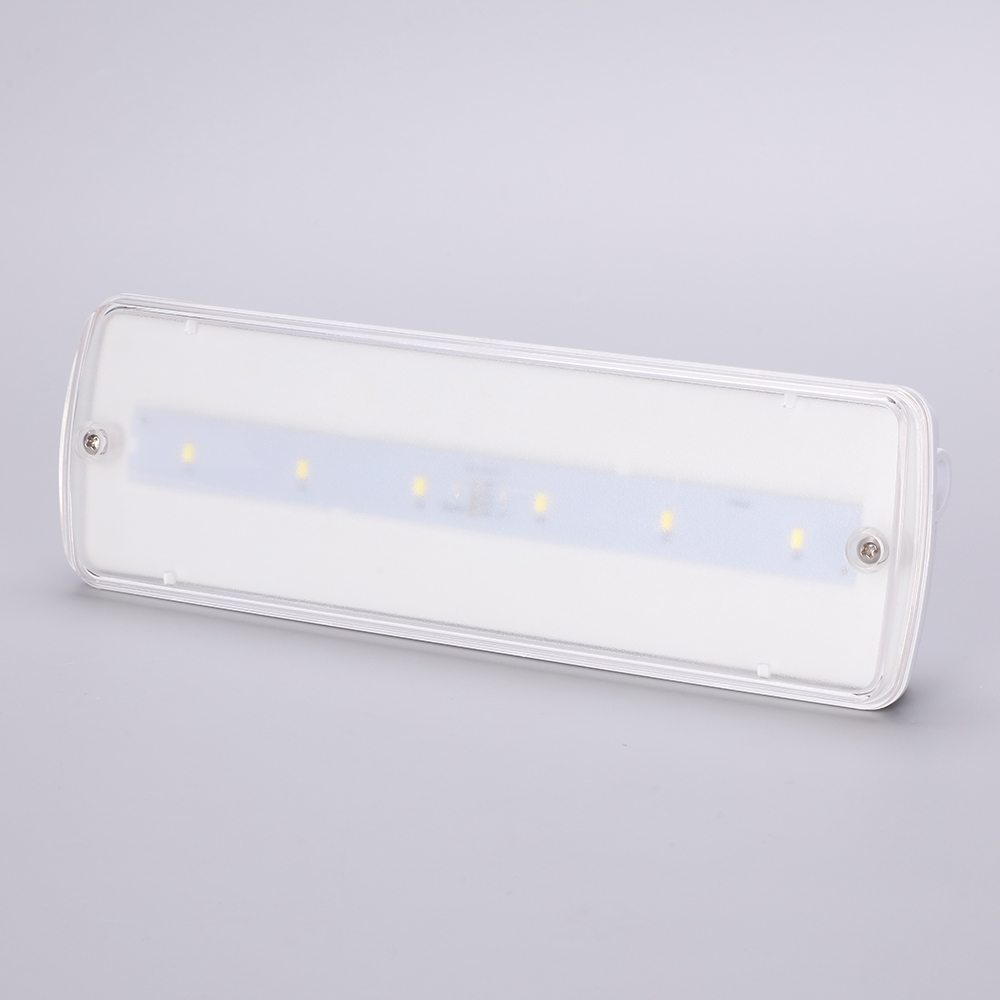IP65 5W LED Emergency Light with 3-Year Warranty Ceiling Mount Emergency Light