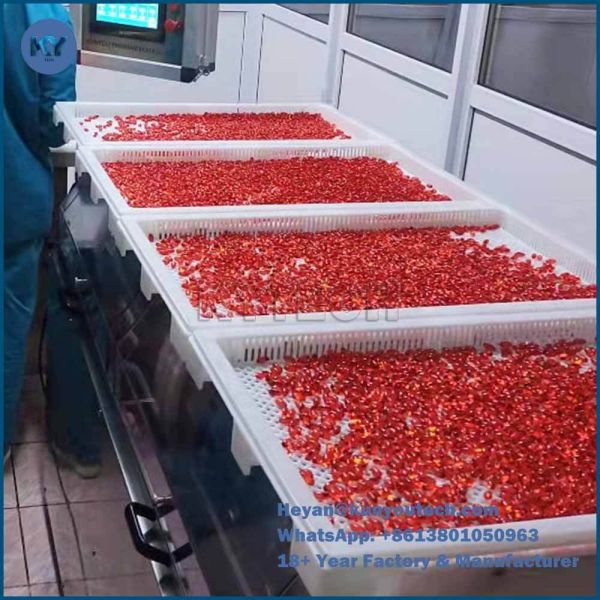 Food Grade Plastic Drying Tray