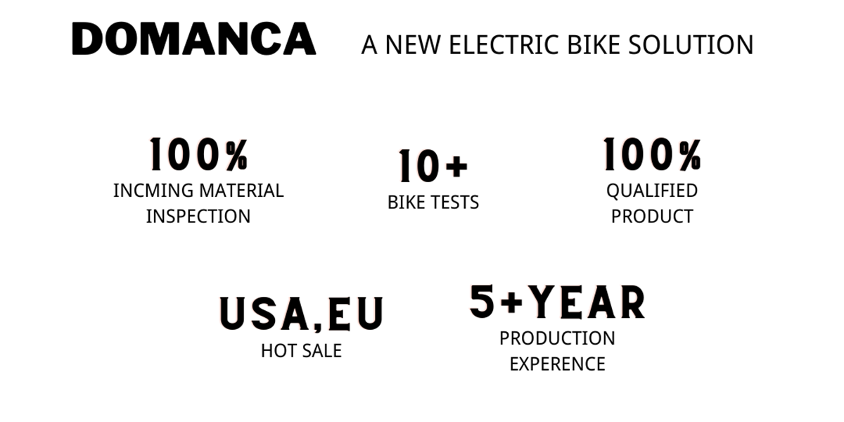 Smart Sensor Dual Battery Cargo Ebike Customized for Family Delivery Convenience
