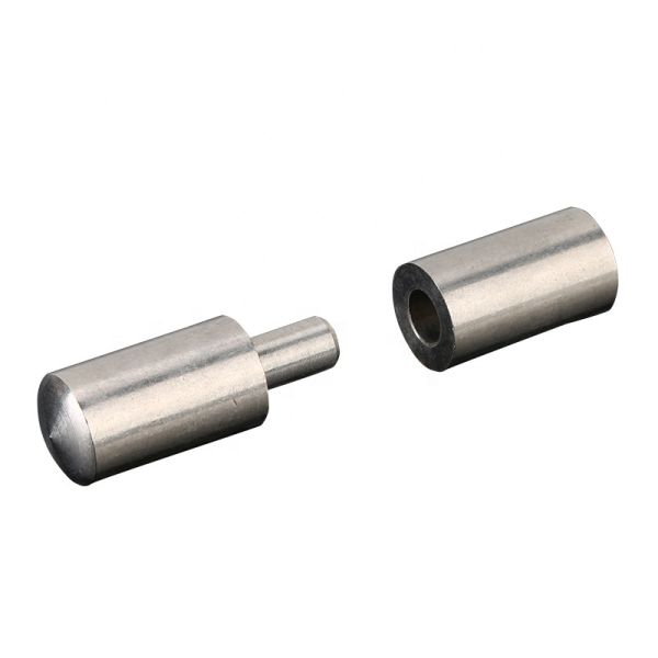 Detaching Hinge Plug Shaft Two Non-concealable Removable SUS304 Cabinet Hinges