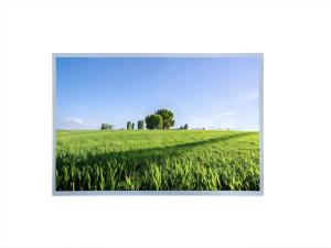 Écran large de 17 pouces 1920x1200 Résolution 1000 nits Luminosité Panneau LCD