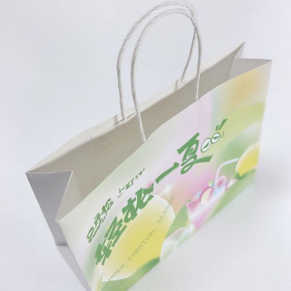 Customize Design Shopping Paper Bag Craft Paper Bags Printing Logo With Twisted Handles