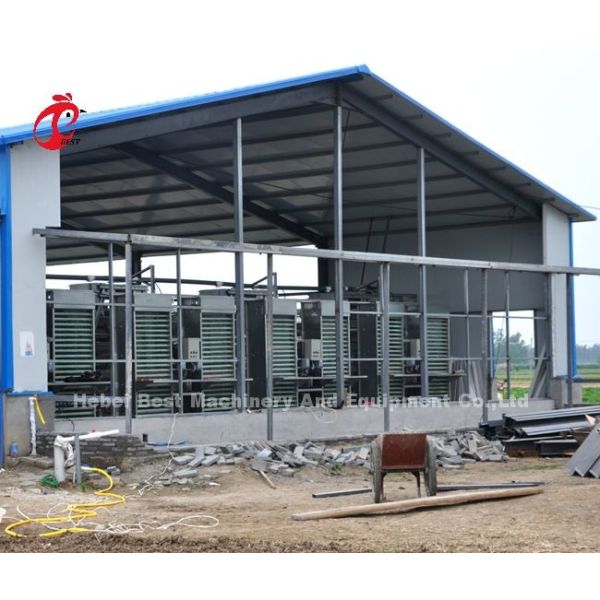 20 Years Lifespan Layer Poultry Farming Automatic Chicken Cage Equipment For 20,000 Layers Adela