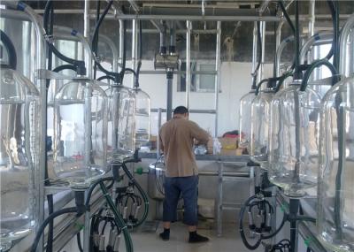 HL-G01 Automatic Herringbone Milking Parlor System with 28L Glass Milk Jar