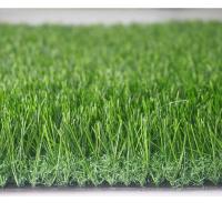 facile sans plomb d'herbe artificielle de jardin de 20Mm d'installer OIN 14001