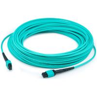 20ft Armored Cable MPO MTP Indoor 12 Core Multimode Fiber Optic Cable High Density