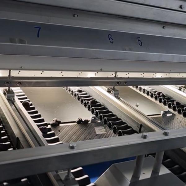 High-capacity Dates Sorting Machine, Computer Control, 6 lanes+10 outlets, 1.8 Tons per hour, High Precision