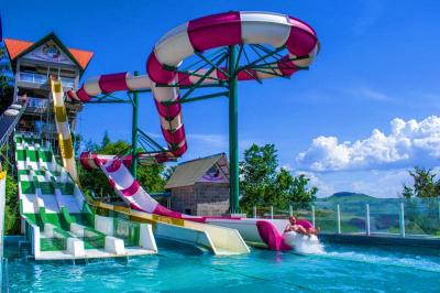 Outdoor Swimming Pool Accessories Fiberglass Water Slide for Kids