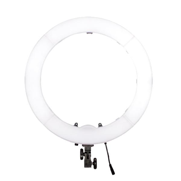 55W 5500K 18inch Dimmable LED Ring Light Kit with Carry bag, Light Stand for Video Photography Blogging Portrait