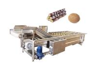 machine à laver de bulle du citron 4.55kw