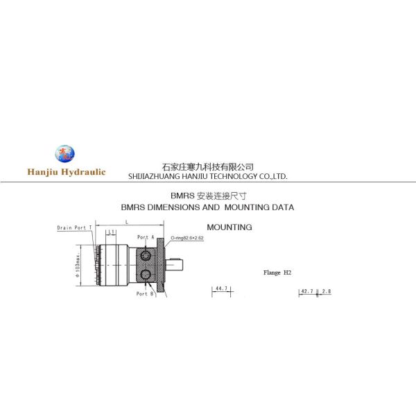 Мотор БМРС-125-Х6РГ 4 стандартной орбиты ЛИВЭНЗА гидравлический - фланец отверстия