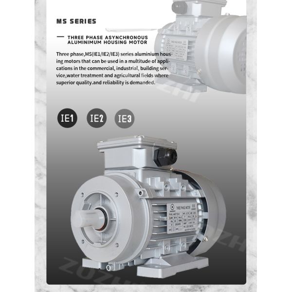 Energy-Saving 3kW Three-Phase Waterproof High Efficiency AC Induction Motor 
