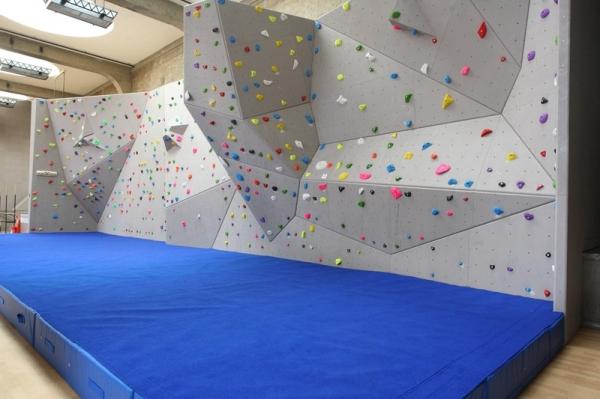 Gecko King Adult Rock Climbing Wall Holds for Indoor Training Allowable Passenger 5