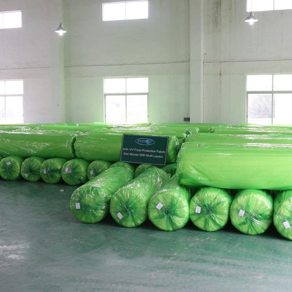 proteção vegetal do gelo da agro folha da tela de tecelagem não de 200gsm Spunbond para a tampa exterior da planta