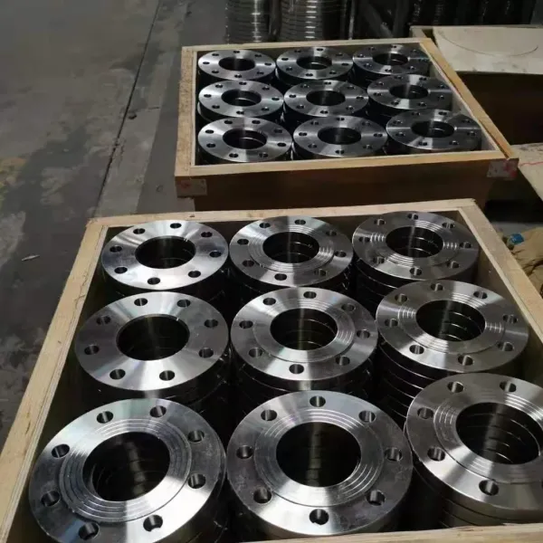 Forged Stainless Steel Flange - Corrosion and High-Temperature Resistant Pipe Fitting